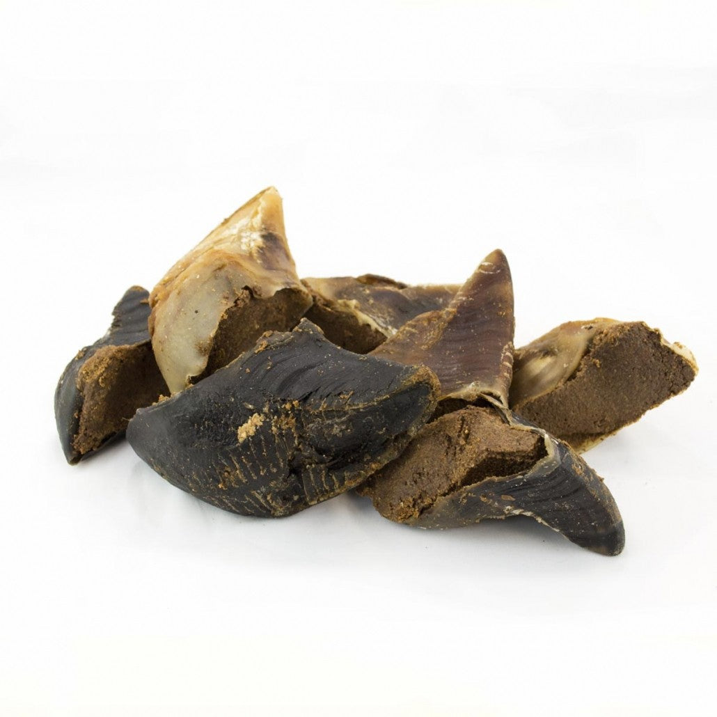 Cow Hooves